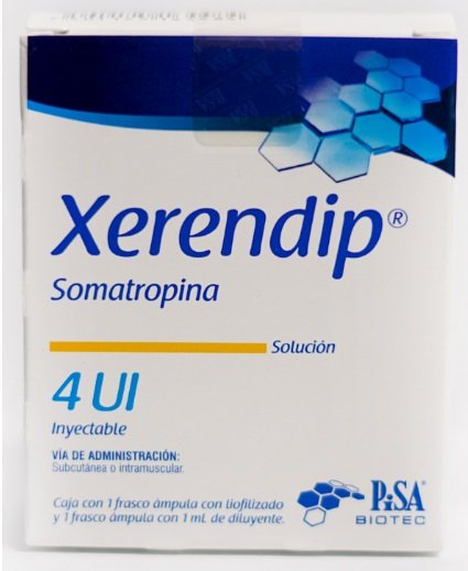 Xerendip 4IU Pisa Lab