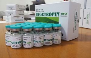 Hygetropin 8 IU somatropin