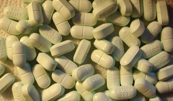 Watson Hydrocodone 503